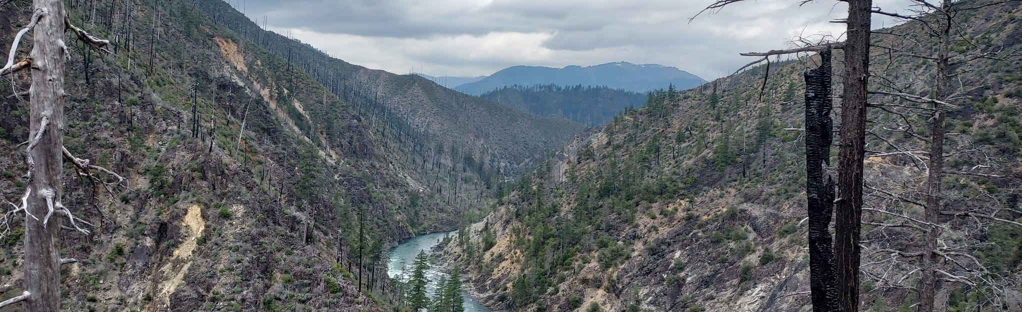 Escape to Oregon's Emerald Gem: Briggs Creek Campground