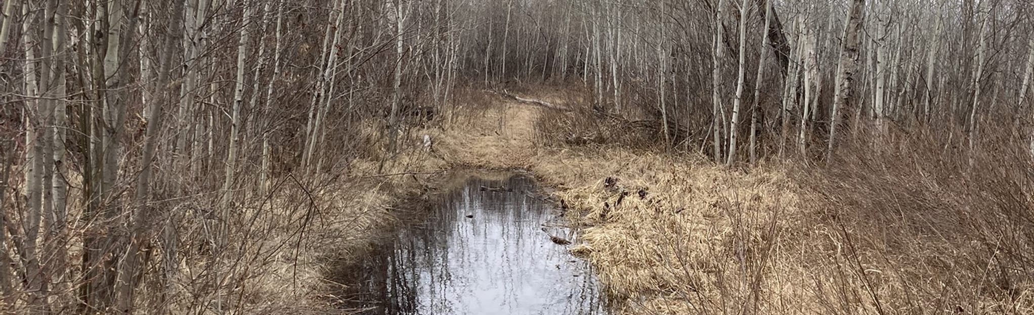 Opal Natural Area, Alberta, Canada 13 Reviews, Map AllTrails