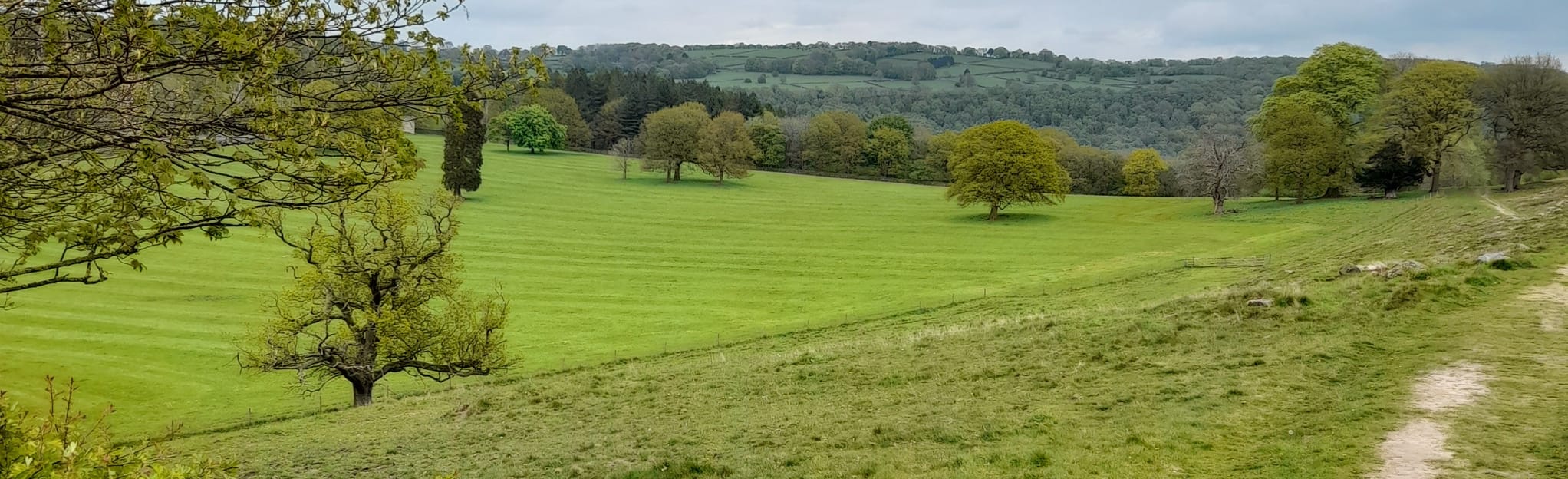 Shining Cliff Wood and Bear Lake Circular 145 Fotos Derbyshire