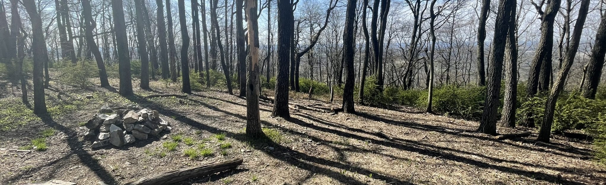 Appalachian Trail Smith Gap to Little Gap 97 Reviews, Map