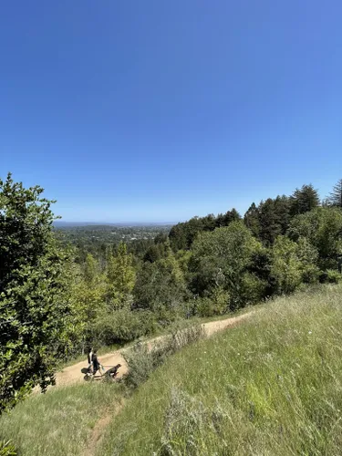 Best Hikes and Trails in Pogonip Open Space Preserve AllTrails