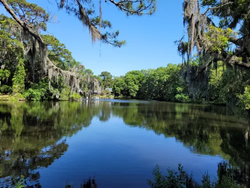 10 Best Trails and Hikes in Charleston | AllTrails