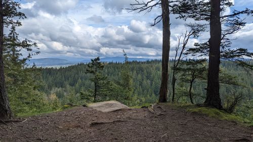 Larrabee State Park Hikes Best 10 Trails In Larrabee State Park | Alltrails