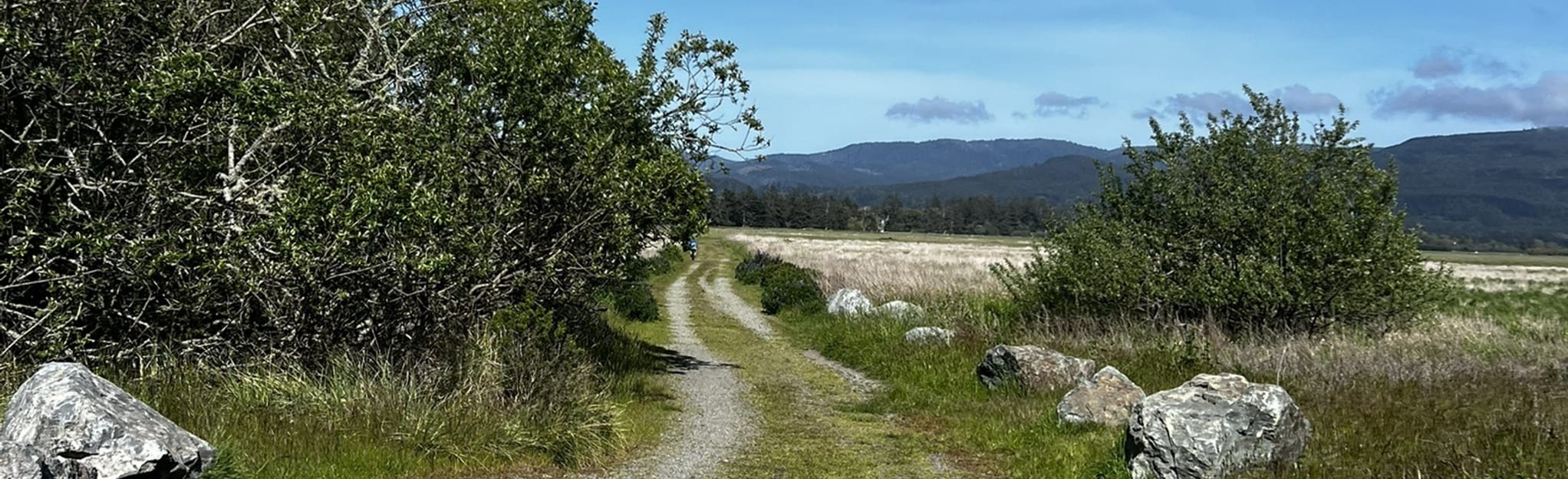 The Yontocket Big Beach Loop 17 Reviews, Map California AllTrails