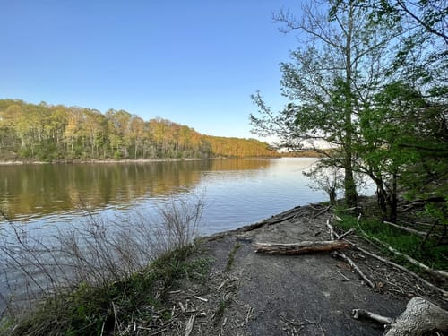 East Fork Hiking Trails Best 10 Trails In East Fork State Park | Alltrails