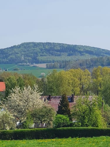 Grüner Punkt "Steina - Rundweg Schwedenstein"