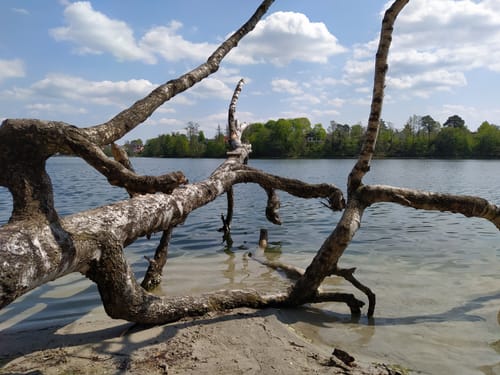 Straussee Runde