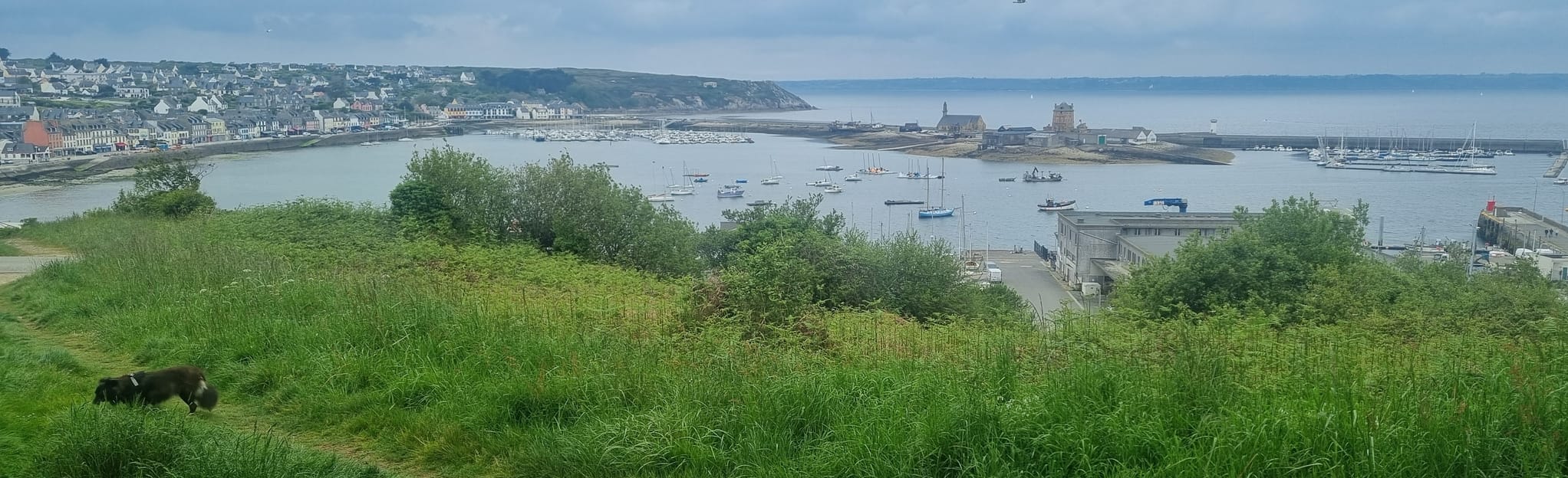 Trez Rouz - Camaret-sur-Mer: 54 Fotos - Finistère, Frankreich | Wandern ...
