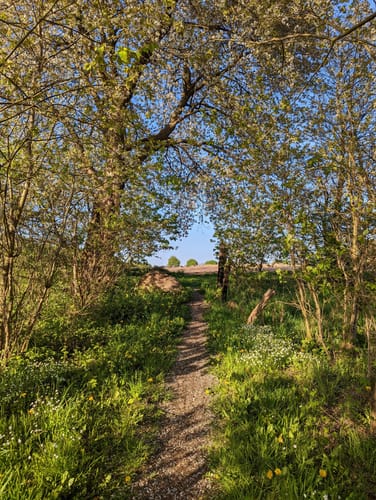 Rund um Müssen