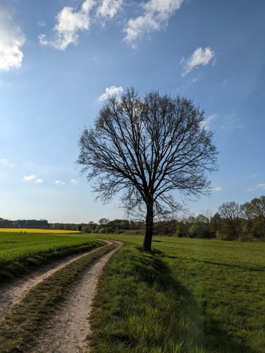 Rund um Müssen