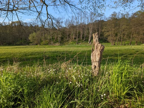 Rund um Müssen