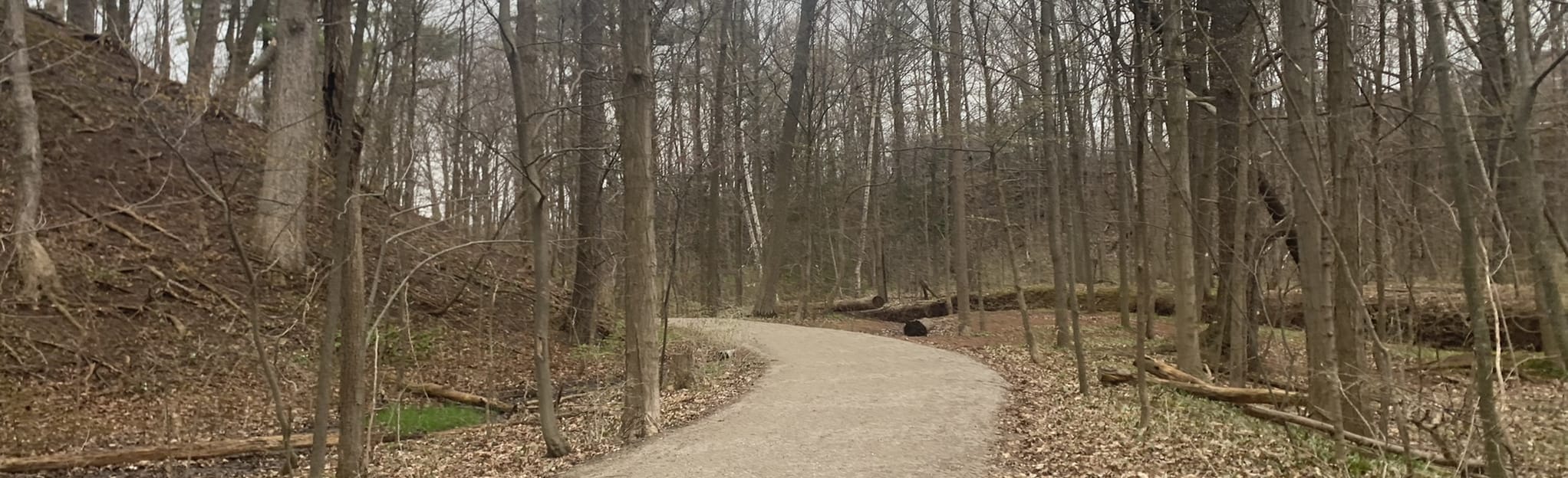 Morrison Creek and Valley Trail 208 foto's Ontario, Canada