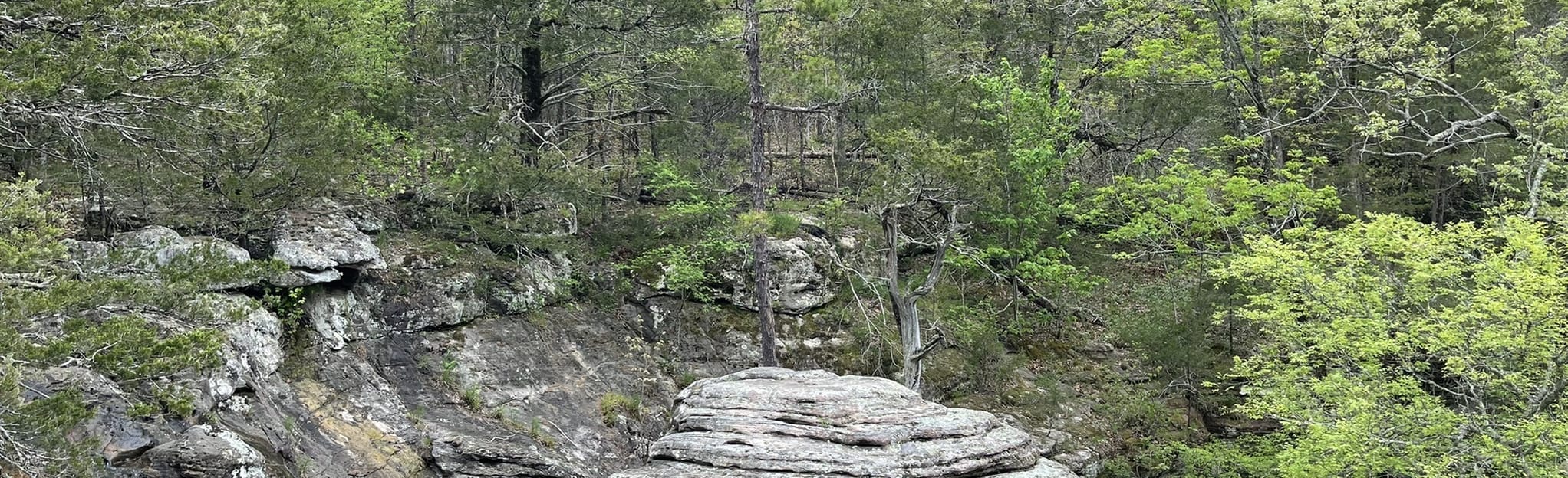 Three Springs Falls and Cascades 67 Fotos Arkansas AllTrails