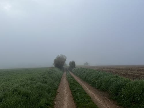 Hohenkammer nordwestlicher Rundweg