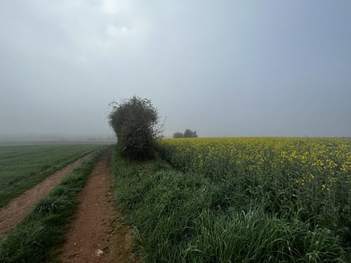 Hohenkammer nordwestlicher Rundweg