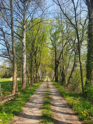 Kauppa: Runde beim Großen Heikteich