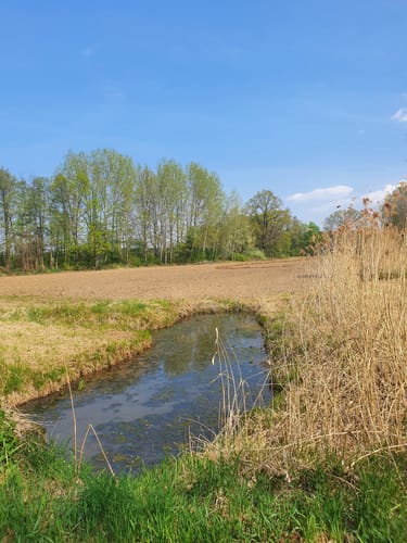 Kauppa: Runde beim Großen Heikteich