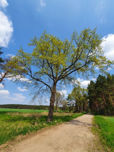 Kauppa: Runde beim Großen Heikteich