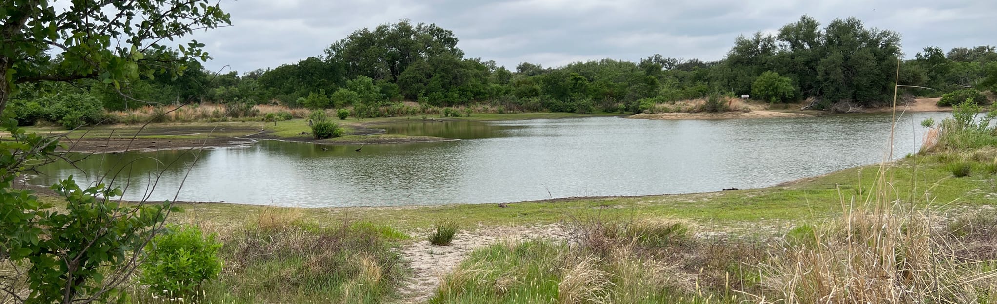 Moss Lake via Echo Canyon Trail 511 Reviews, Map Texas AllTrails