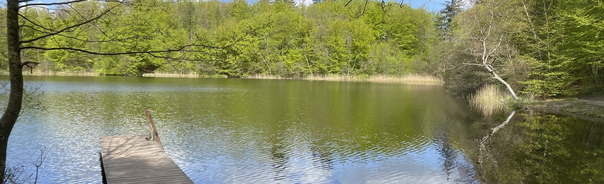 Hvalsø - Roskilde, Region Zealand, Denmark - 21 Reviews, Map | AllTrails