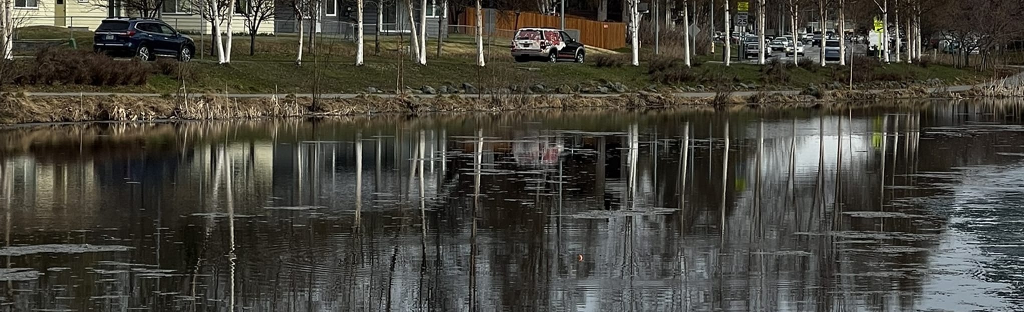 Cheney Lake 230 Reviews, Map Alaska AllTrails