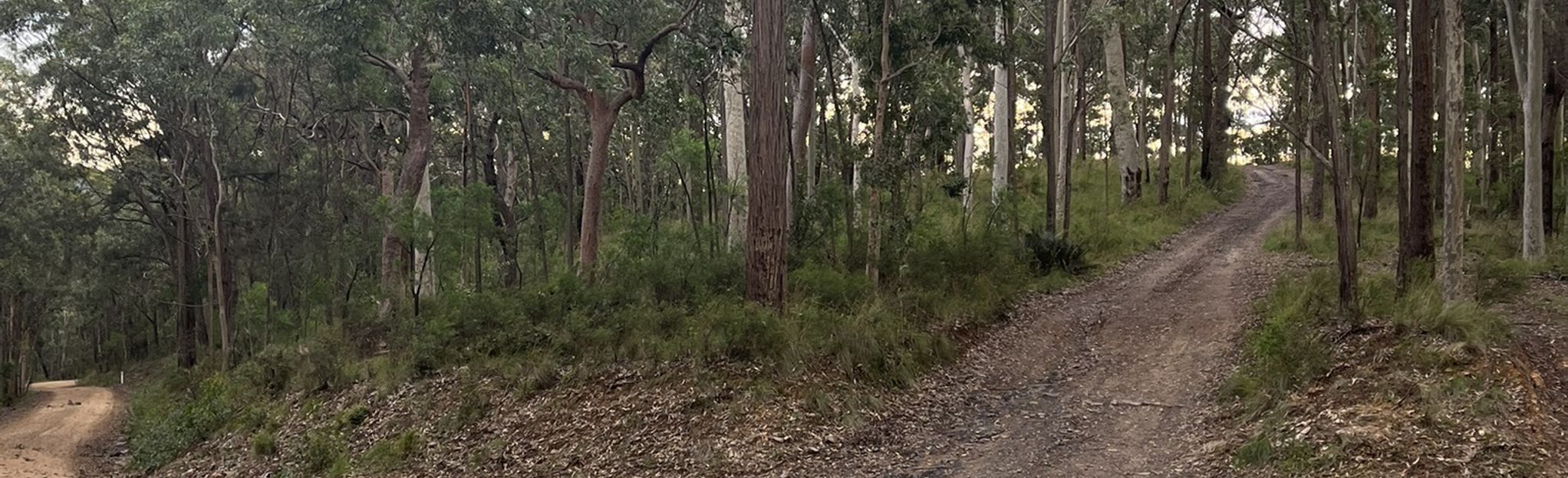 Broken Back Rd, New South Wales, Australia - 22 Reviews, Map | AllTrails