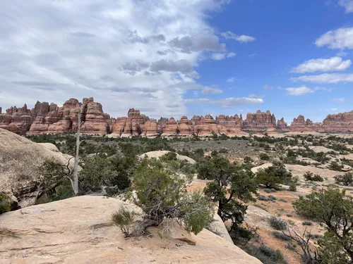 10 Best Moderate Trails in Canyonlands National Park AllTrails