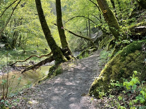 Baybachklamm (Traumschleife)