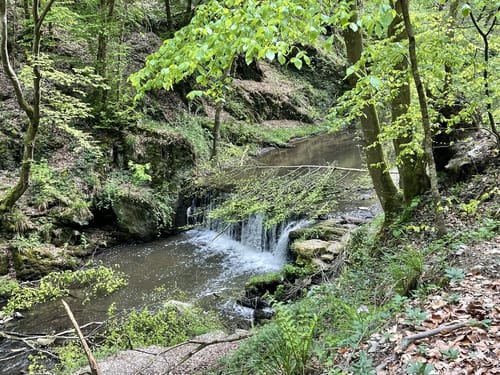 Baybachklamm (Traumschleife)