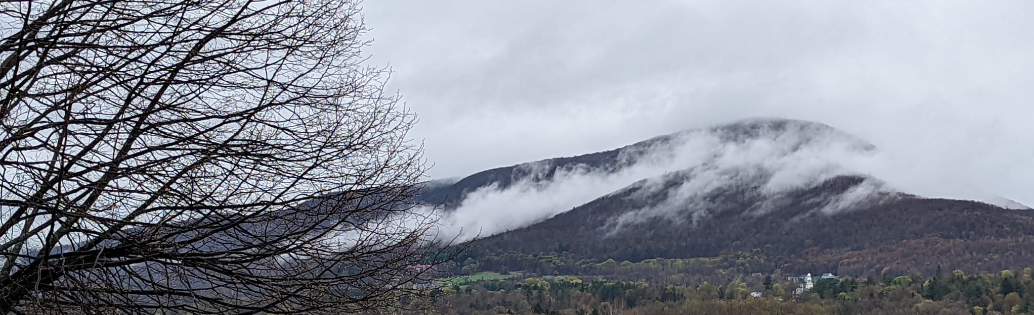 Willow Park Trail 26 Reviews, Map Vermont AllTrails