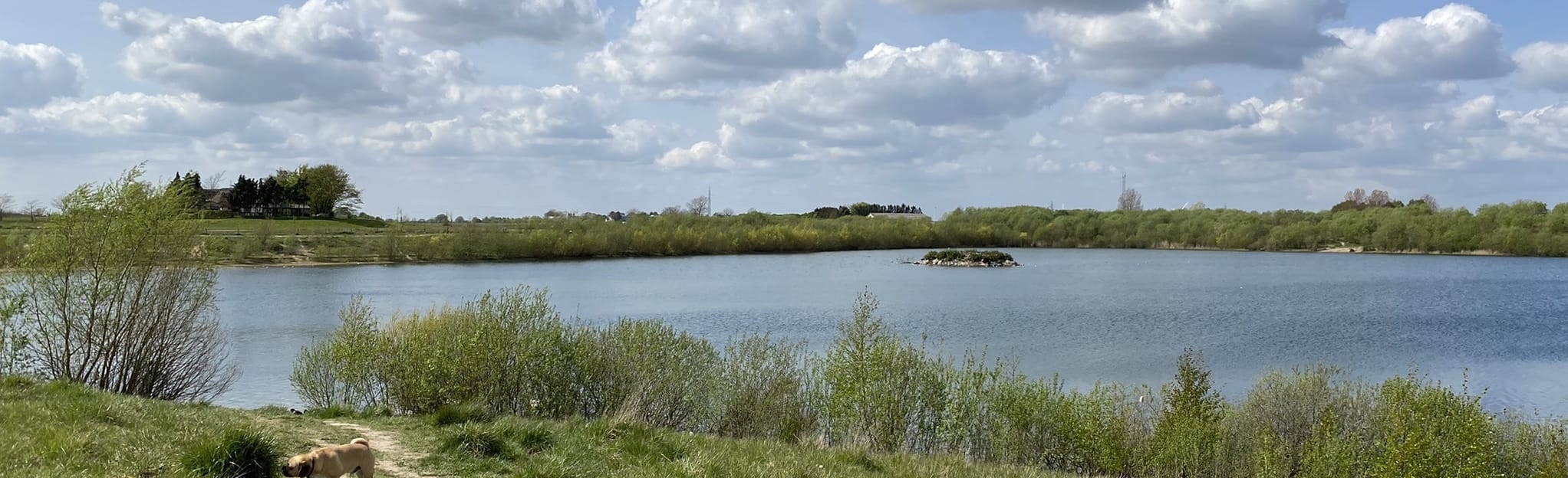 Tarup-Davinde Hundeskov - Langager Sø: 8 Reviews, Map - Region of ...
