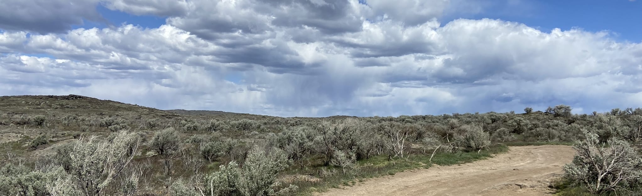 Dead Horse to Tea Kettle Cave, Idaho 66 Reviews, Map AllTrails