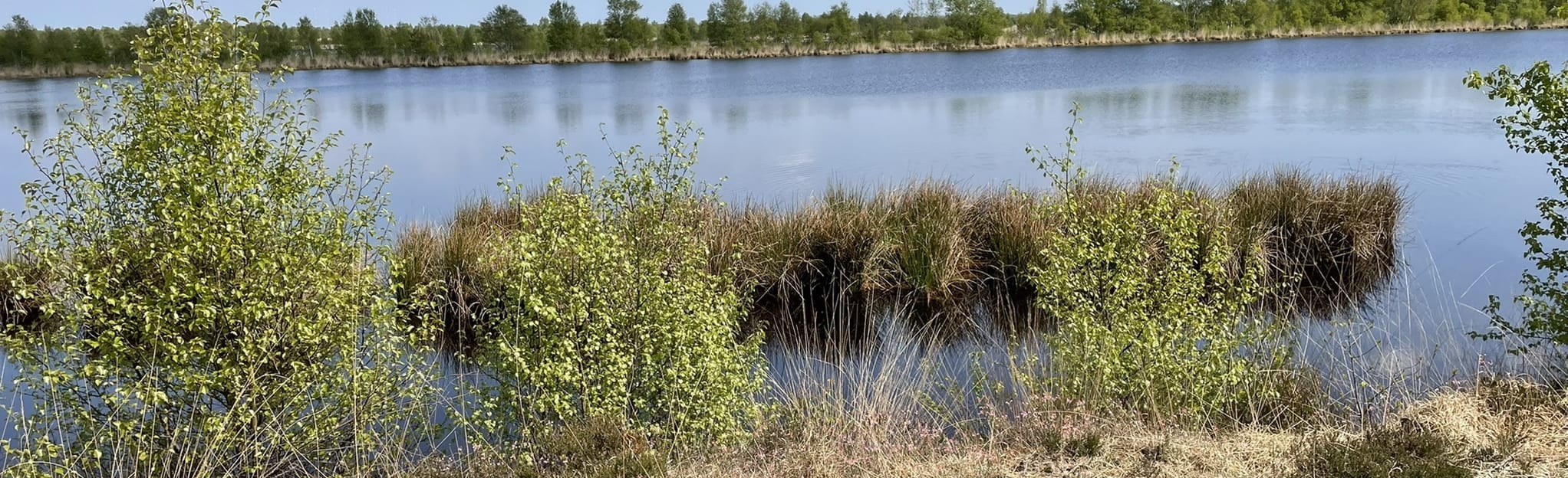 Aschendorfer Moor Trail, Lower Saxony, Germany 4 Reviews, Map AllTrails