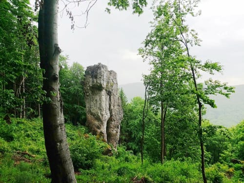 1000-Meter-Höhenweg Pommelsbrunn
