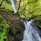 Starvation Creek Falls, Oregon - 180 Reviews, Map | AllTrails