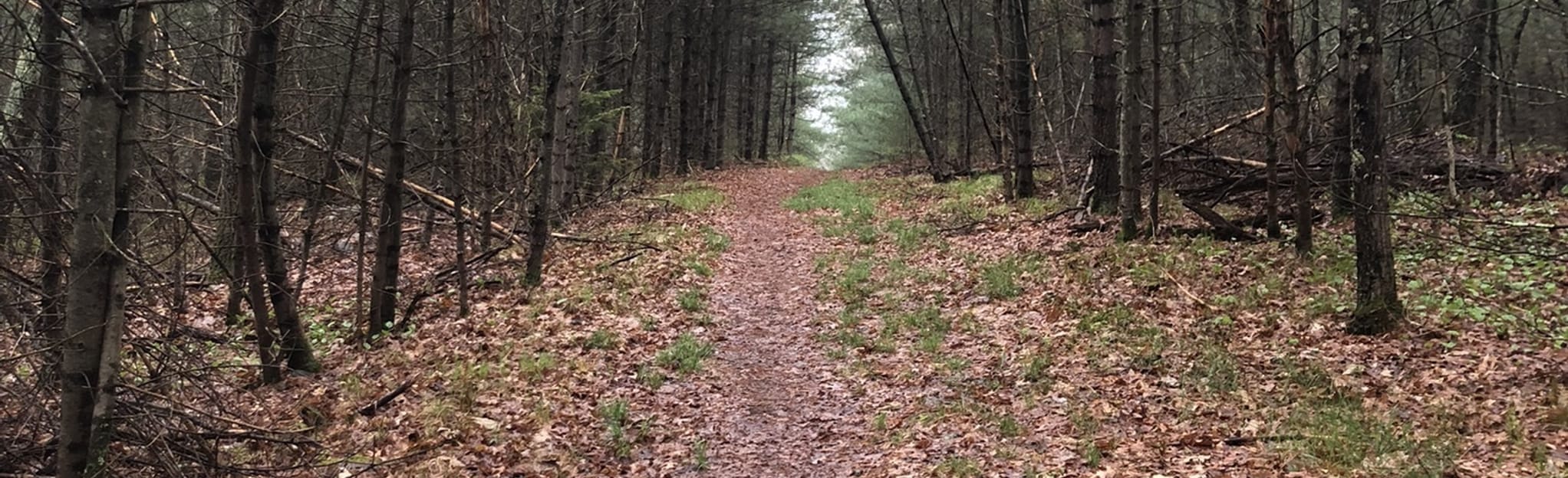Mount Misery Trail, Massachusetts 56 Reviews, Map AllTrails
