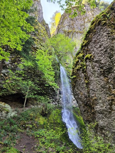 Cabin Creek Falls - hikes and trails to get you there