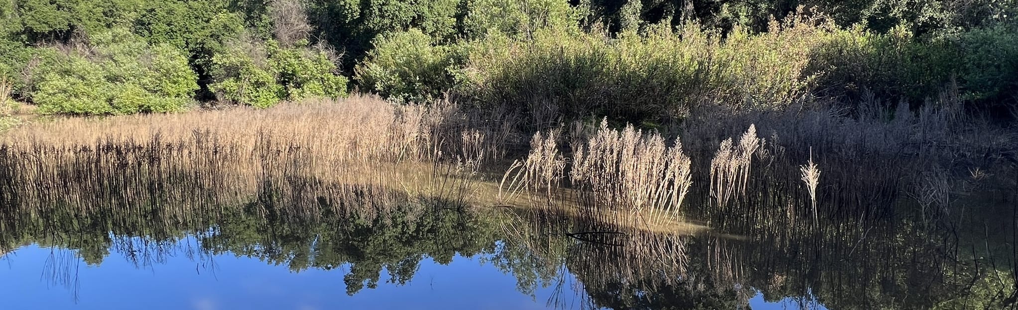 Musch Trail: 1 790 bilder – California | AllTrails