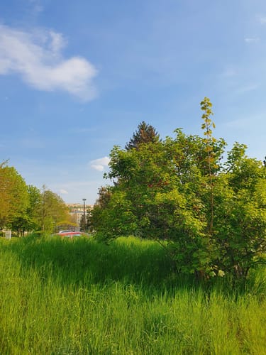Bautzen Spree Runde