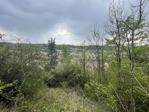 Altmühltal-Panoramaweg Etappe 7: Dollnstein - Eichstätt