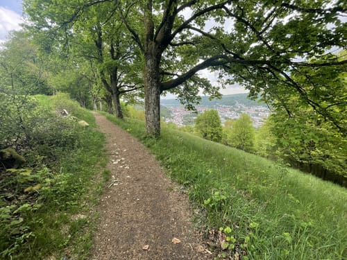 Altmühltal-Panoramaweg Etappe 7: Dollnstein - Eichstätt