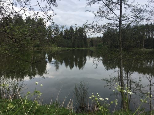 Weiher - Tauchersreuth - Frohnhof