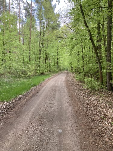 Barsdorf - Haussee - Qualzow