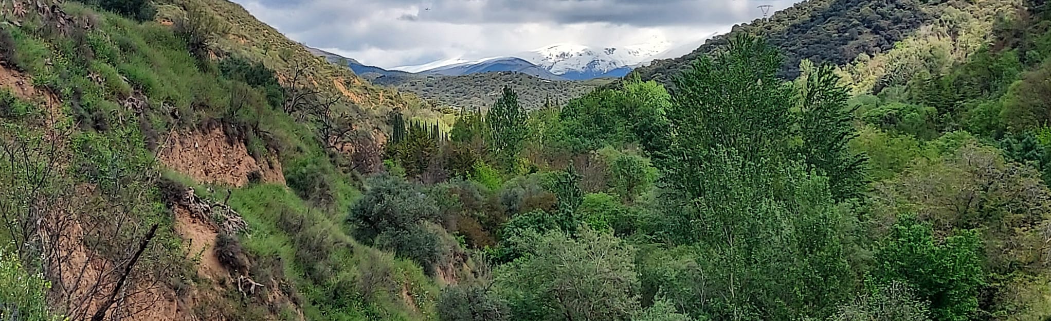 Granada - Cerro del Sol, Granada, Spain - 35 Reviews, Map | AllTrails