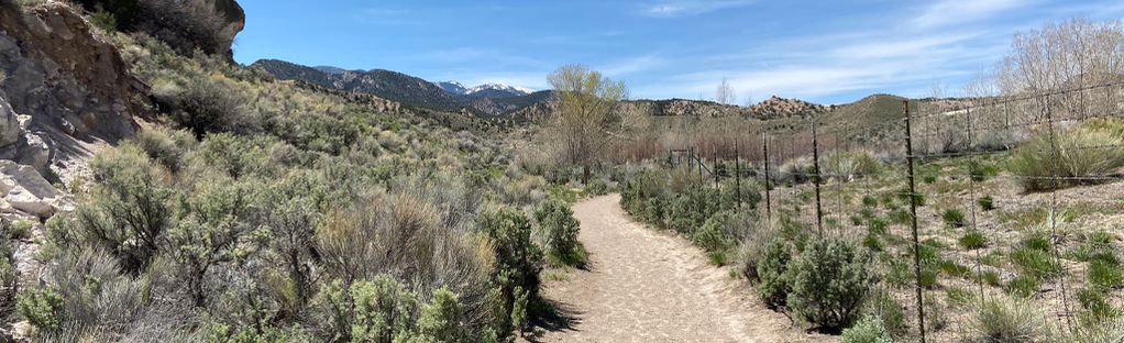 Centennial Climbs The Canyon