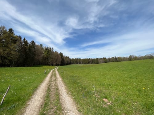 Fischbach - Hinterrothenrain - Wolfsöd