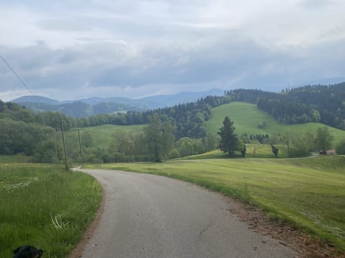 Berlachen Rechtenbach