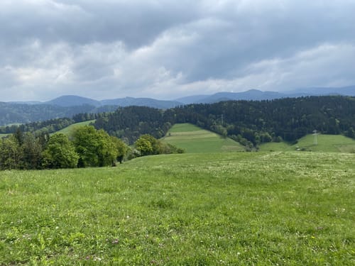 Berlachen Rechtenbach