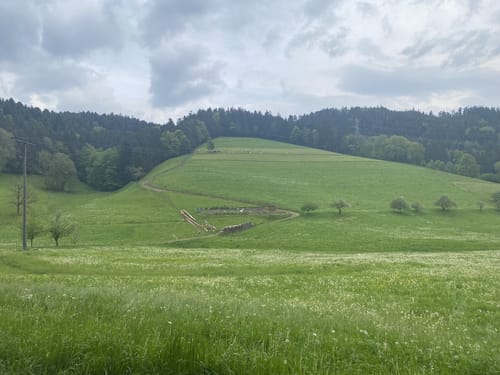 Berlachen Rechtenbach
