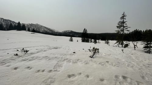Seegatterl - Nattersbergalm - Hindenburghütte